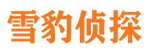 江永市侦探公司